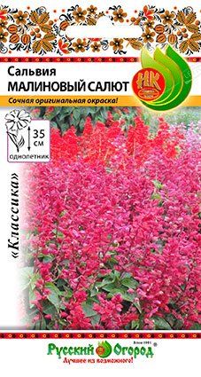 цСальвия Малиновый салют 10шт