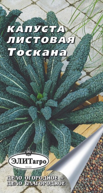 Капуста листовая Тоскана кале 0,3г