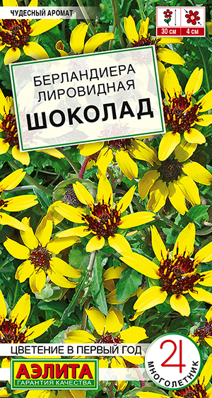 Берландиера Шоколад 5шт