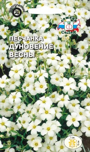 цПесчанка Дуновение весны 0,04г