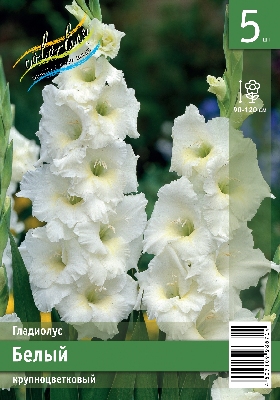 Гладиолус ЭКОНОМ-СЕРИЯ БЕЛЫЙ (5 шт)