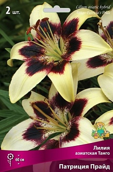 Лилия Танго Патриция Прайд (3 шт)