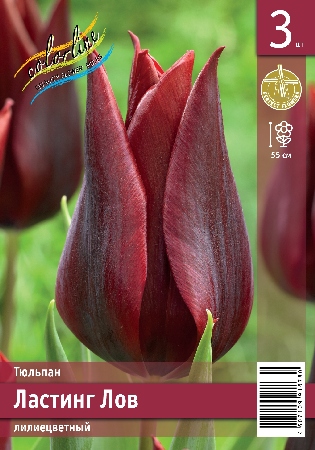 Тюльпан ЭКОНОМ-СЕРИЯ ЛАСТИНГ ЛОВ (3 шт)