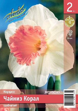 Нарцисс ЭКОНОМ-СЕРИЯ ЧАЙНИЗ КОРАЛ (2 шт)