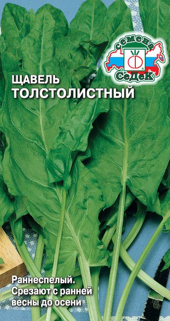 Щавель Толстолистный 0,5г