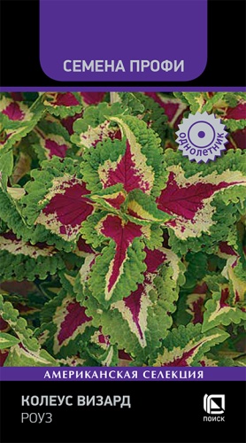 Колеус Визард Роуз 10шт (Семена Профи)