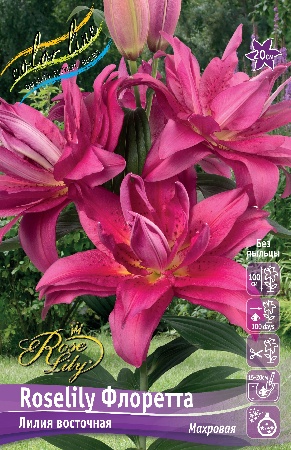 Лилия Roselily Флоретта 16/18 (3 шт)