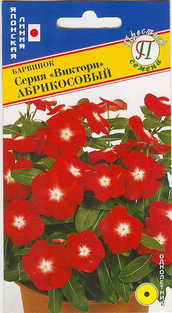 цБарвинок Виктори Абрикосовый 10шт