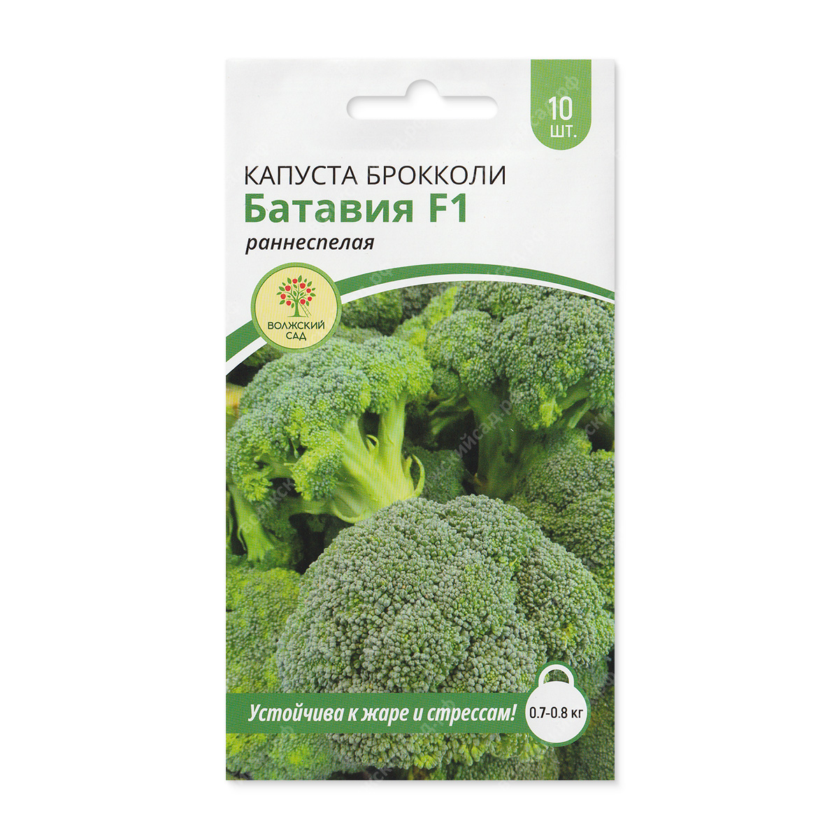 Капуста брокколи Батавия 10шт