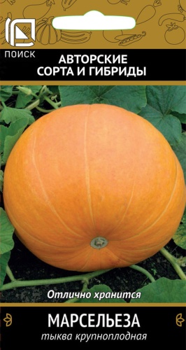 Тыква Марсельеза 10шт крупноплодная