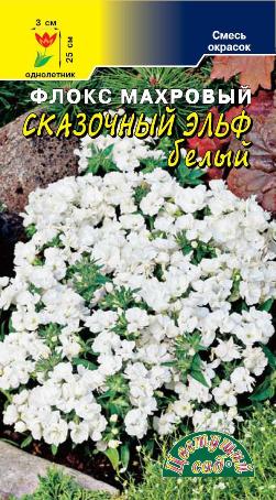 цФлокс Сказочный эльф белый 5шт