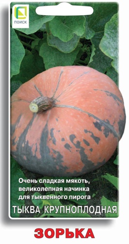 Тыква Зорька 10шт крупноплодная