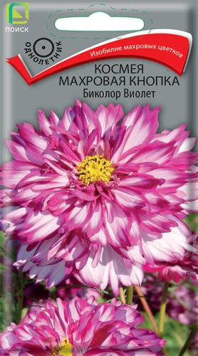 Космея Махровая кнопка Биколор Виолет 0,1г Космея Махровая кнопка Биколор Виолет 0,1г