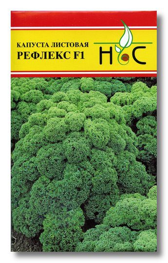 Капуста листовая Рефлекс 0,05г (Bejo Zaden/Голландия)
