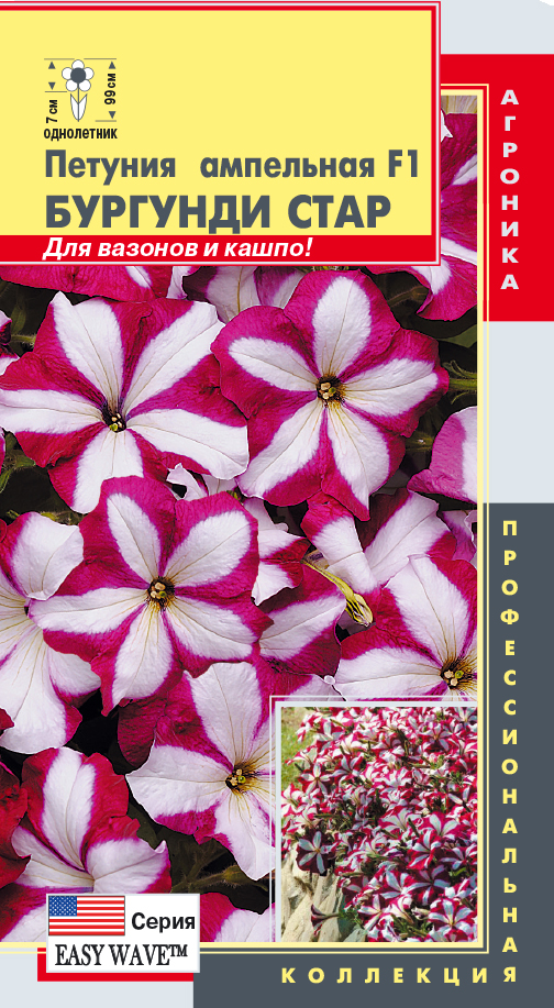 цПетуния Бургунди Стар