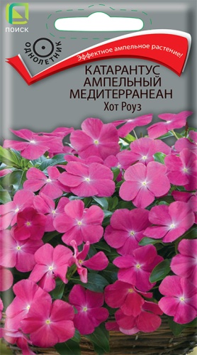 Катарантус Медитерранеан Хот роуз амп. 10шт