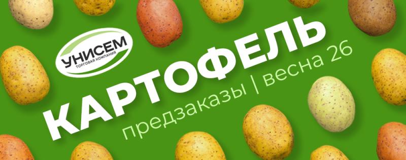 КАРТОФЕЛЬ на весну 2026