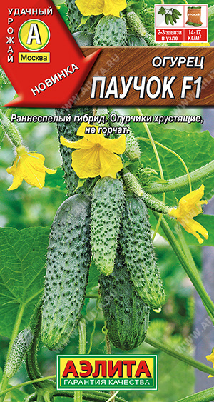 Огурец Паучок 10шт