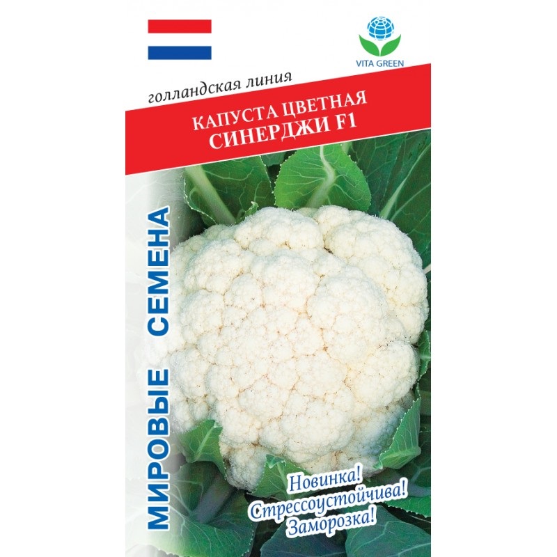 Капуста цветная Синерджи 10шт Vita Green