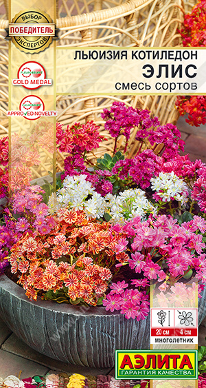 Льюизия Элис (котиледон) смесь 5шт