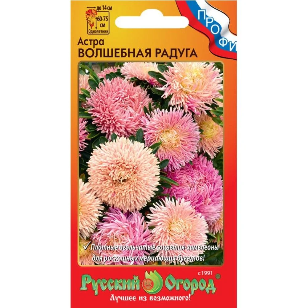Астра Волшебная радуга 25шт