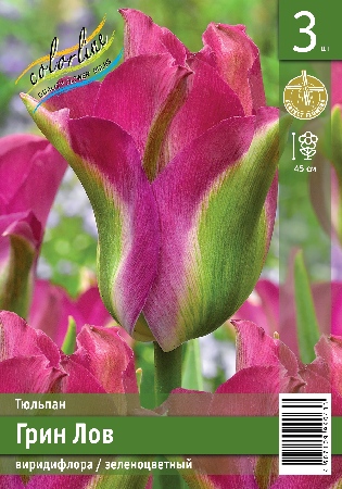 Тюльпан ЭКОНОМ-СЕРИЯ ГРИН ЛОВ (3 шт)