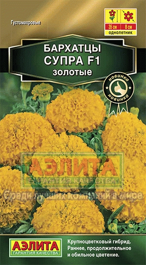 цБархатцы Супра золотые, прям. 7шт