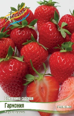 Земляника (Клубника) Гармония (5 шт)