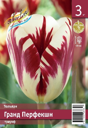 Тюльпан ЭКОНОМ-СЕРИЯ ГРАНД ПЕРФЕКШН (3 шт)