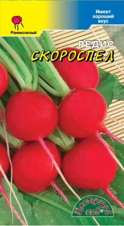 Редис Скороспел