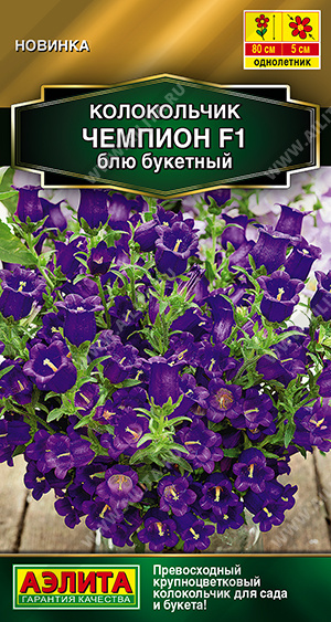 Колокольчик Чемпион блю букетный 4шт