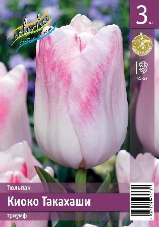 Тюльпан ЭКОНОМ-СЕРИЯ КИОКО ТАКАХАШИ (3 шт)