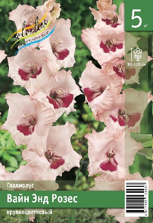 Гладиолус ЭКОНОМ-СЕРИЯ ВАЙН ЭНД РОЗЕС (5 шт)
