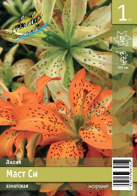 Лилия ЭКОНОМ-СЕРИЯ МАСТ СИ (1 шт)