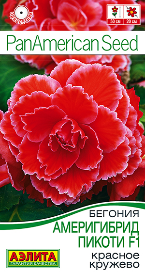 Бегония Америгибрид Пикоти красное кружево 5шт