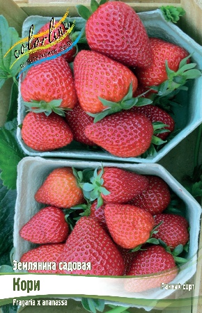 Земляника (Клубника) Кори (5 шт)