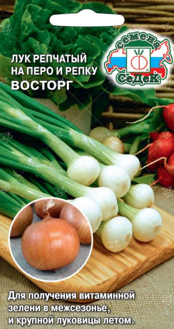Лук репчатый Восторг на перо и на репку 1г