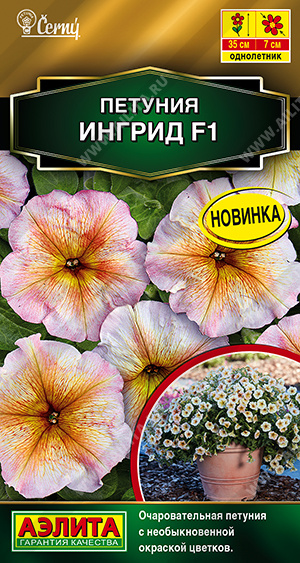 Петуния Ингрид 7шт Петуния Ингрид 7шт