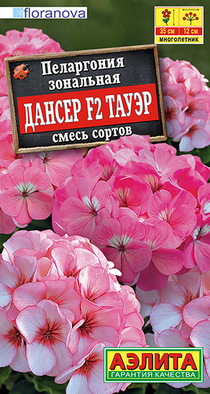 Пеларгония Дансер Тауэр смесь 5шт