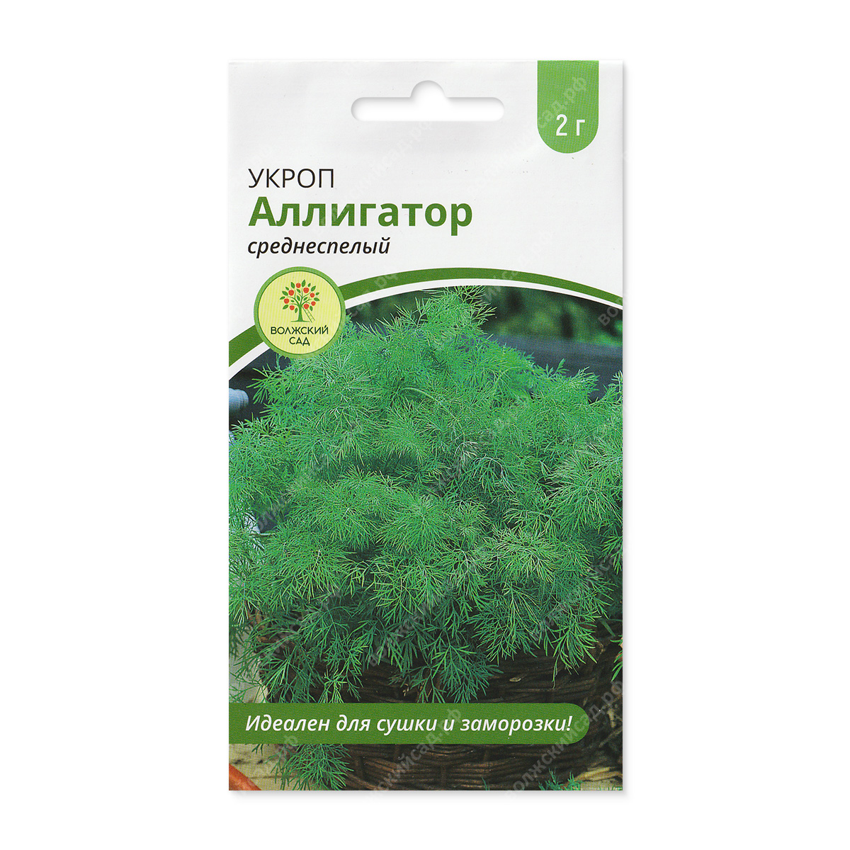 Укроп Аллигатор 2г