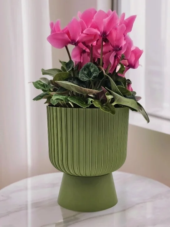 Горшок Бекер 2,8л D17,5 папоротник с поддоном (уп.8)