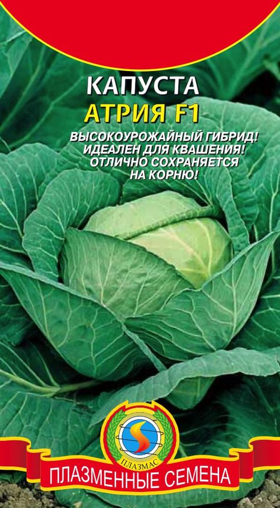 Капуста бк Атрия 10шт позднеспелая