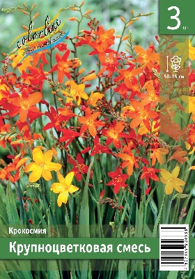 Крокосмия ЭКОНОМ-СЕРИЯ СМЕСЬ (3 шт)