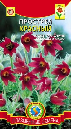 цПрострел Красный 10шт