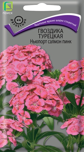 Гвоздика Ньюпорт салмон пинк турецкая 0,5г
