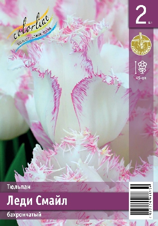 Тюльпан ЭКОНОМ-СЕРИЯ ЛЕДИ СМАЙЛ (2 шт)