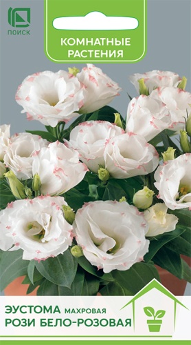 Эустома Рози бело-розовая 5шт (Семена Профи)