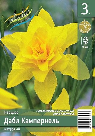 Нарцисс ЭКОНОМ-СЕРИЯ ДАБЛ КАМПЕРНЕЛЬ (3 шт)
