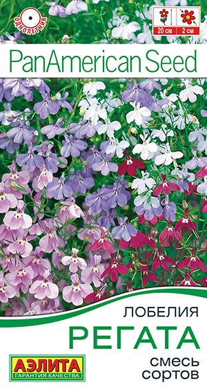 Лобелия Регата смесь 3шт