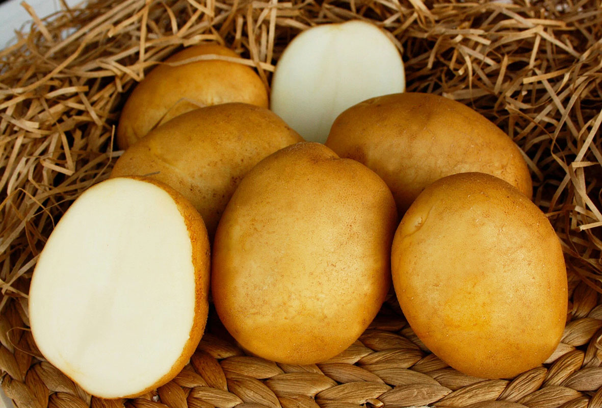 Картофель Триумф 2 (аналог Коломбо) Э (1 кг)